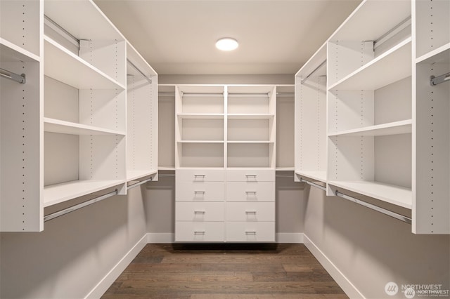 walk in closet with dark wood finished floors