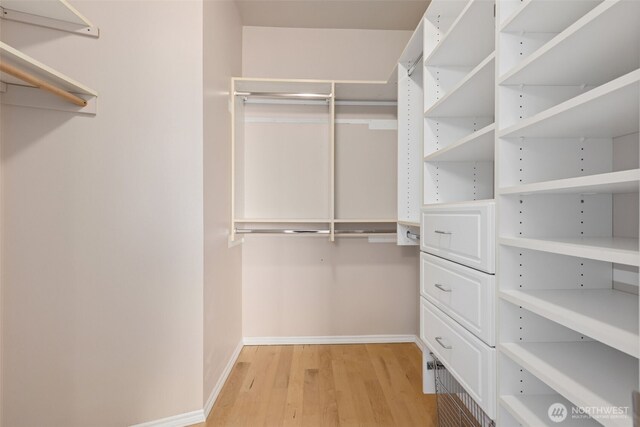 6719 Prairie Ridge Dr NE, Olympia, WA 98516 - walk in closet featuring light wood-type flooring