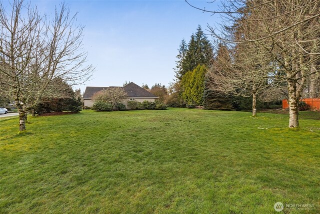 6719 Prairie Ridge Dr NE, Olympia, WA 98516 - view of yard