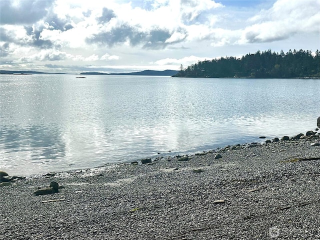 111 Baker Ln, Friday Harbor, WA 98250 - photo 19
