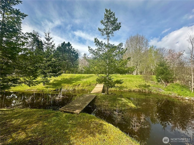 111 Baker Ln, Friday Harbor, WA 98250 - photo 20