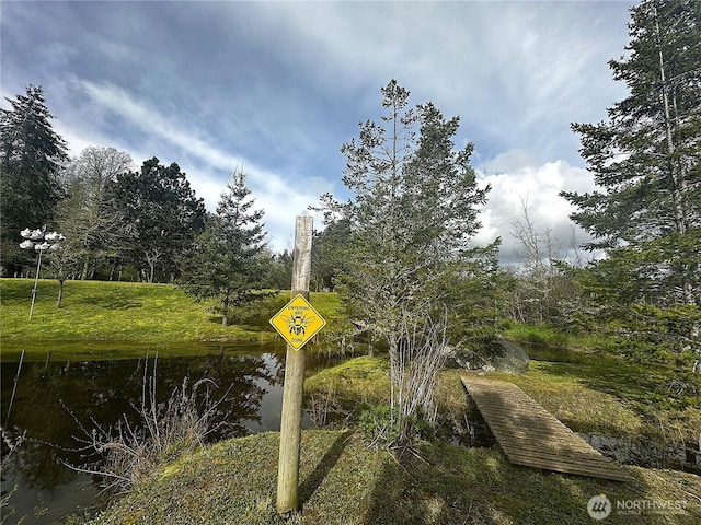111 Baker Ln, Friday Harbor, WA 98250 - photo 22