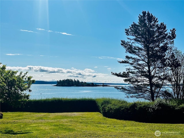 111 Baker Ln, Friday Harbor, WA 98250 - photo 32