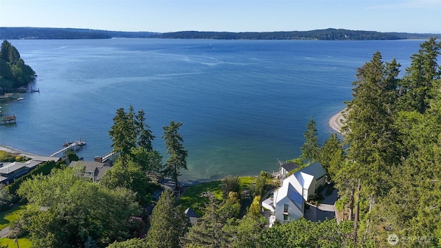 9844 NE Lafayette Ave, Bainbridge Island, WA 98110 - photo 39