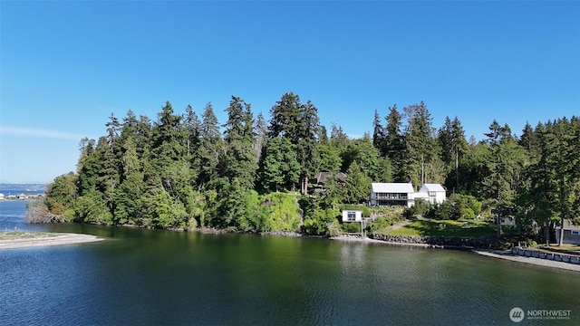9844 NE Lafayette Ave, Bainbridge Island, WA 98110 - photo 3
