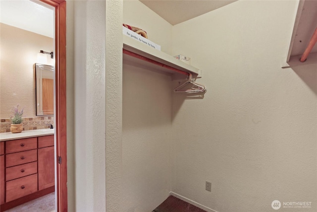 3348 SW Christmas Tree Ln, Port Orchard, WA 98367 - view of walk in closet