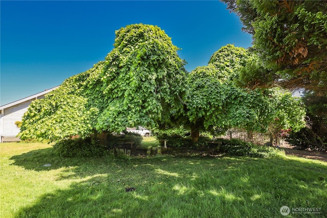 55 Devonshire Rd, Montesano, WA 98563 - view of grassy yard