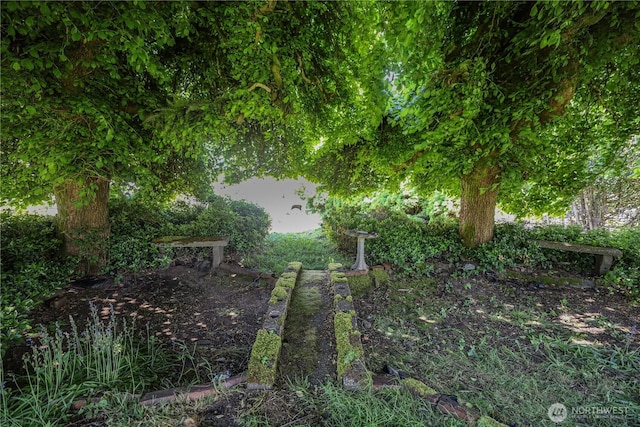 55 Devonshire Rd, Montesano, WA 98563 - view of yard
