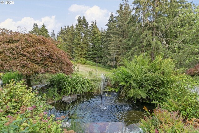 16303 NE 259th St, Battle Ground, WA 98604 - photo 27
