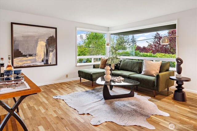 living area featuring baseboards and wood finished floors