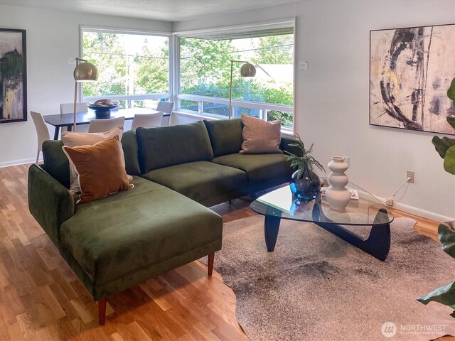 living room featuring baseboards and wood finished floors
