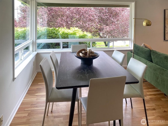 dining space with baseboards and wood finished floors