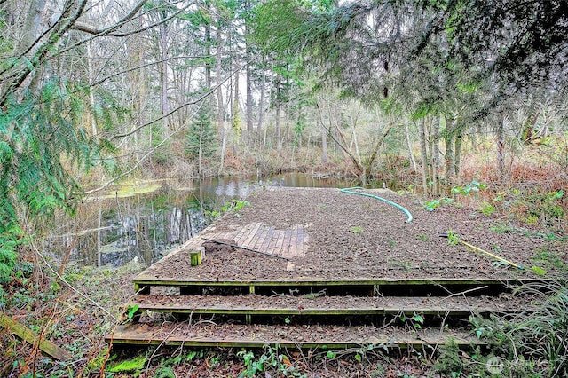 view of yard with a water view and a view of trees