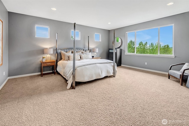 17012 W Hill Dr E, Bonney Lake, WA 98391 - photo 17