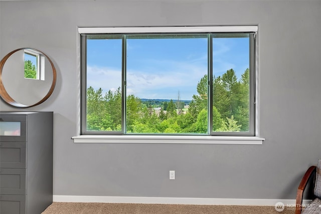 17012 W Hill Dr E, Bonney Lake, WA 98391 - photo 19