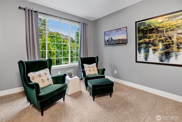 17012 W Hill Dr E, Bonney Lake, WA 98391 - photo 28