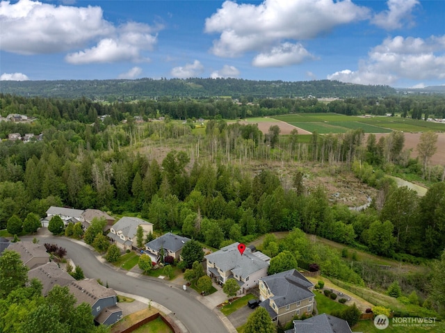 17012 W Hill Dr E, Bonney Lake, WA 98391 - photo 38