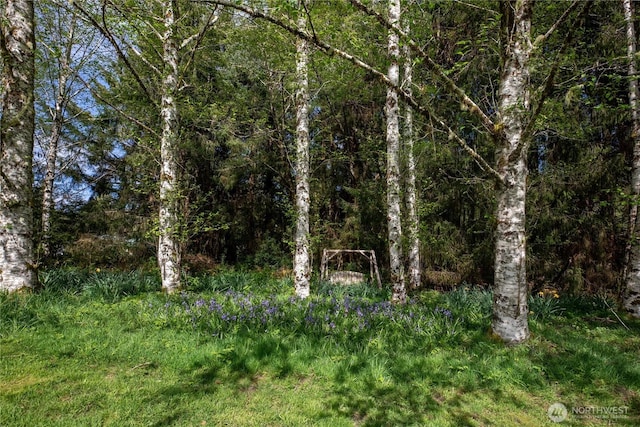view of landscape featuring a wooded view