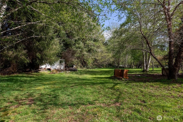 view of yard with a wooded view