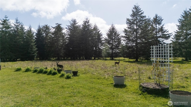 view of yard