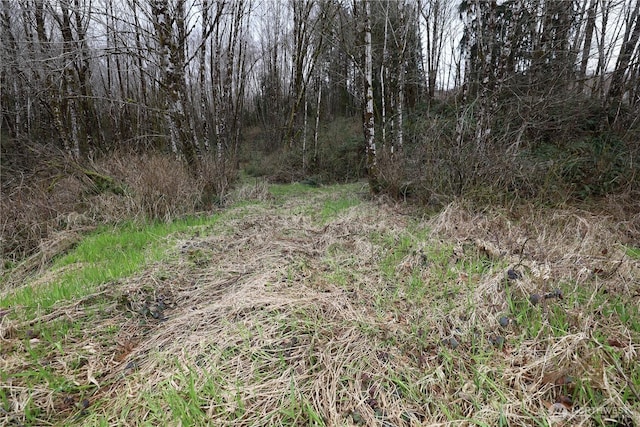 733 State Route 107th Hwy, Montesano, WA 98563