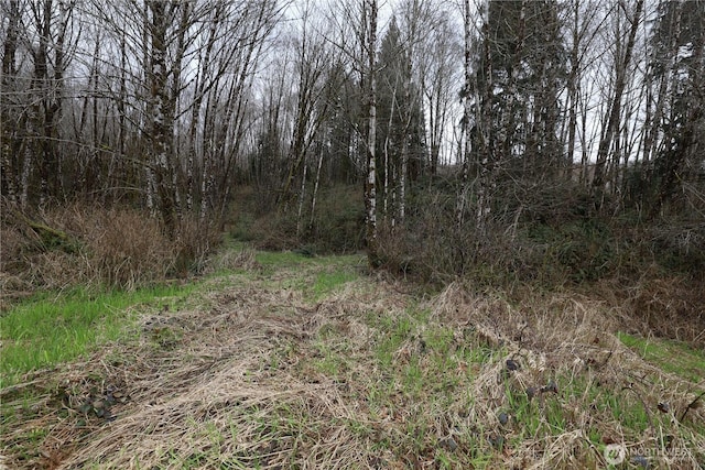 733 State Route 107th Hwy, Montesano, WA 98563