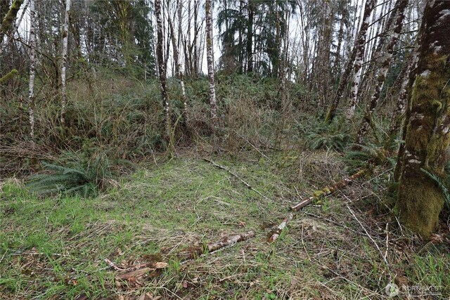 733 State Route 107th Hwy, Montesano, WA 98563