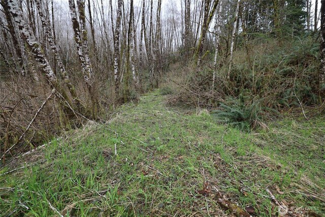 733 State Route 107th Hwy, Montesano, WA 98563