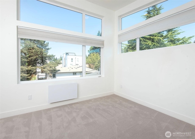 spare room featuring baseboards and carpet flooring