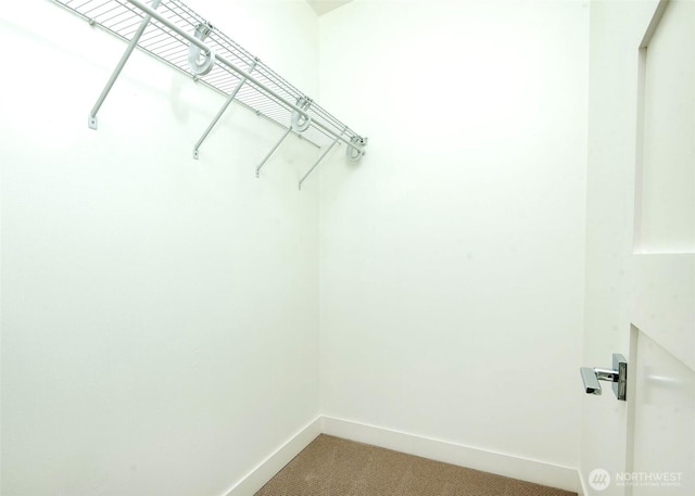 walk in closet featuring light carpet