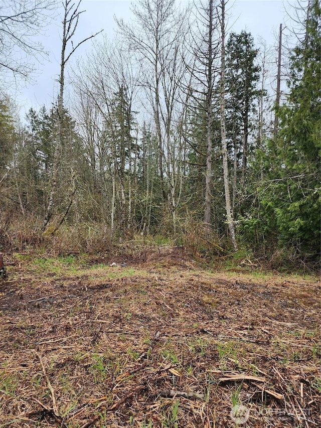 2316 Goshen Dr, Bellingham, WA 98226 - photo 1