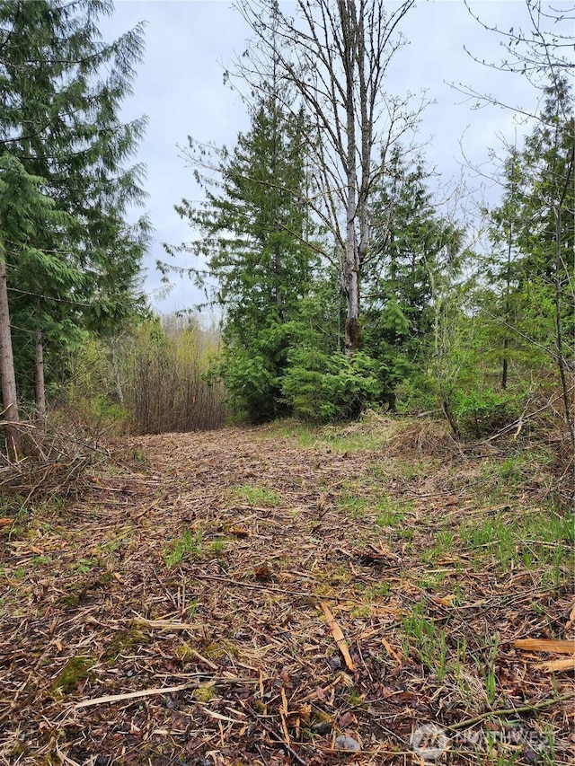 2316 Goshen Dr, Bellingham, WA 98226 - photo 2