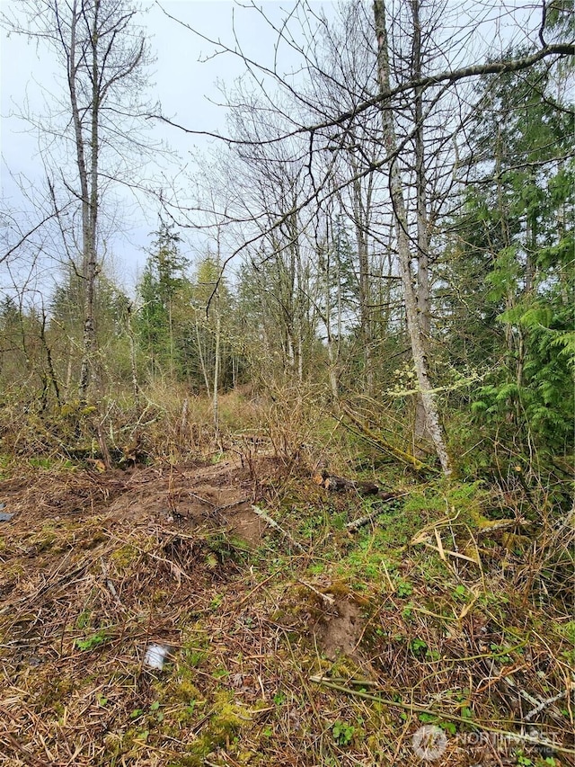 2316 Goshen Dr, Bellingham, WA 98226 - photo 4