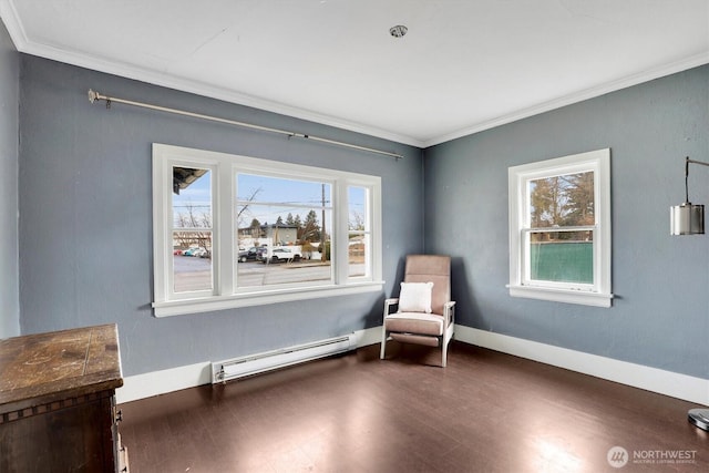 unfurnished room featuring ornamental molding, a baseboard radiator, and a healthy amount of sunlight