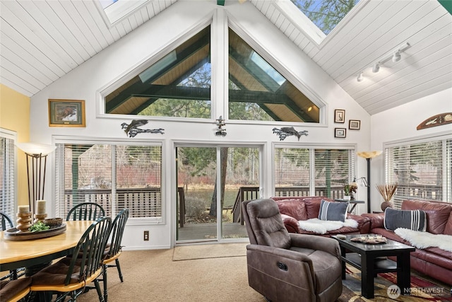 1081 Wapiti Dr, Cle Elum, WA 98922 - sunroom featuring a skylight, carpet floors, high vaulted ceiling, and track lighting