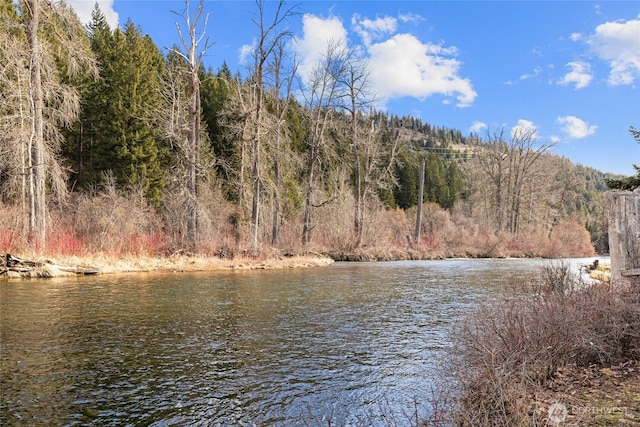1081 Wapiti Dr, Cle Elum, WA 98922 - water view with a heavily wooded area