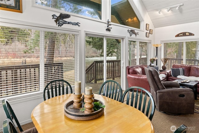 1081 Wapiti Dr, Cle Elum, WA 98922 - sunroom with vaulted ceiling and track lighting