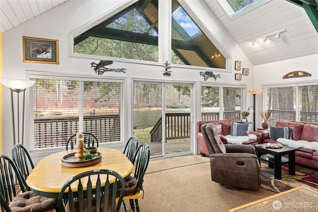 1081 Wapiti Dr, Cle Elum, WA 98922 - sunroom with a skylight, wood ceiling, carpet, high vaulted ceiling, and track lighting