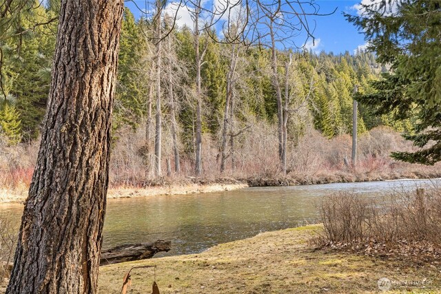 1081 Wapiti Dr, Cle Elum, WA 98922 - water view featuring a heavily wooded area