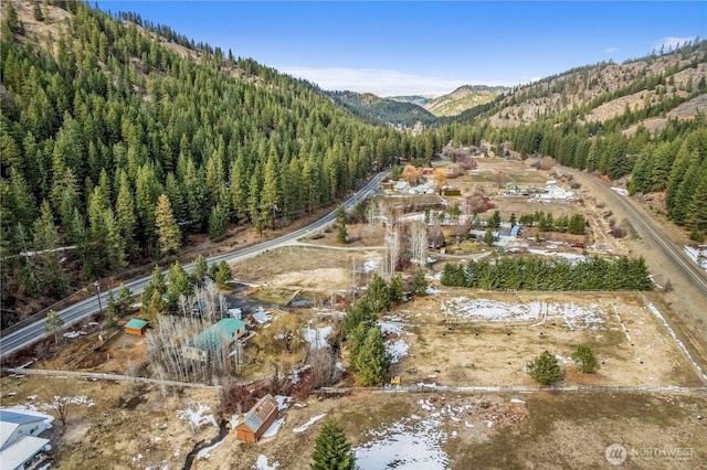 birds eye view of property featuring a mountain view and a view of trees