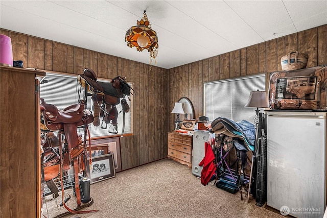 misc room featuring carpet flooring and wood walls