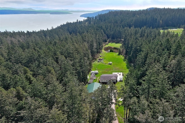 drone / aerial view with a mountain view and a forest view