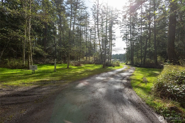 view of street with a wooded view