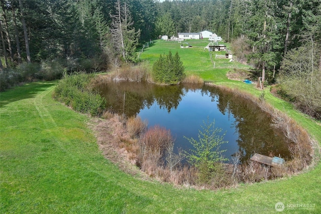 water view with a view of trees