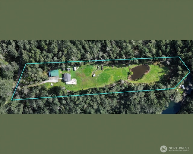 drone / aerial view