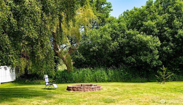 4200 N Pl, Seaview, WA 98644 - view of green lawn with an outdoor fire pit