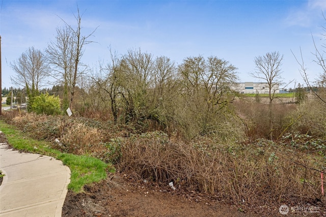 98 5th Ave, Milton, WA 98354 - photo 7