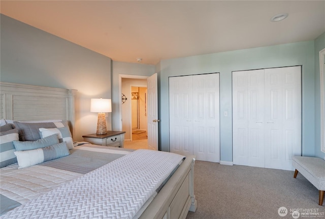 6926 Holeman Ave, Blaine, WA 98230 - bedroom with two closets and carpet
