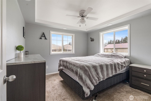 139 N Star Dr, Chehalis, WA 98532 - bedroom with multiple windows, baseboards, carpet flooring, and a raised ceiling