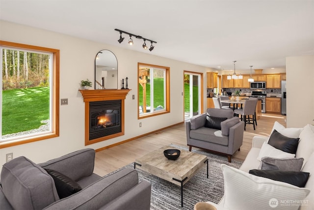 4111 161st Ave NE, Snohomish, WA 98290 - living room with baseboards, light wood-style flooring, a healthy amount of sunlight, and a glass covered fireplace